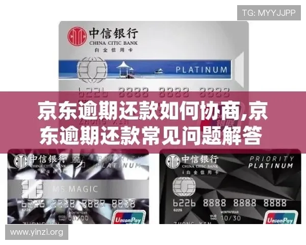 壹号玩家app下载安装常见问题及解决方案,确保顺利使用